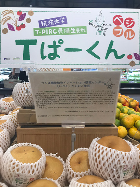 筑波大学のの作った果物なども販売