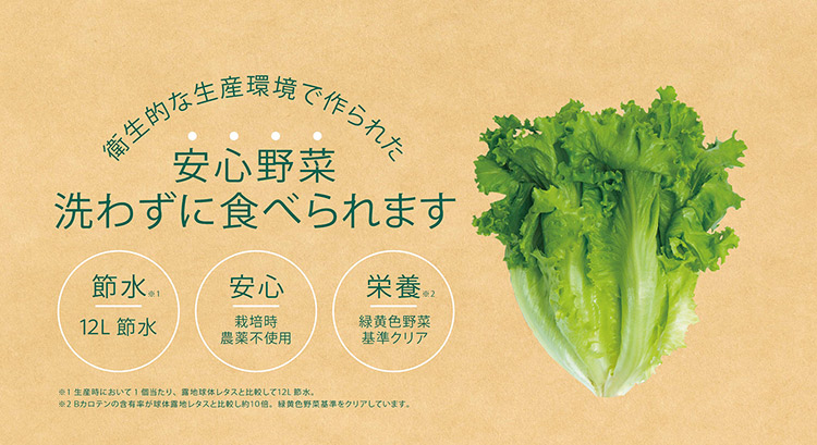 Green Growers（グリーングロワーズ）　レタス